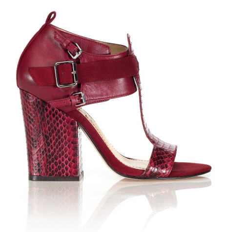 elizabeth-and-james-holiday-2012-carri-sandal