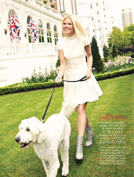gwyneth-paltrow-for-vogue-espana-october-november-2013-5