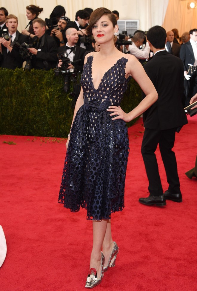 marion-cotillard-2014-met-gala-christian-dior-spring-2014-couture-dress-1